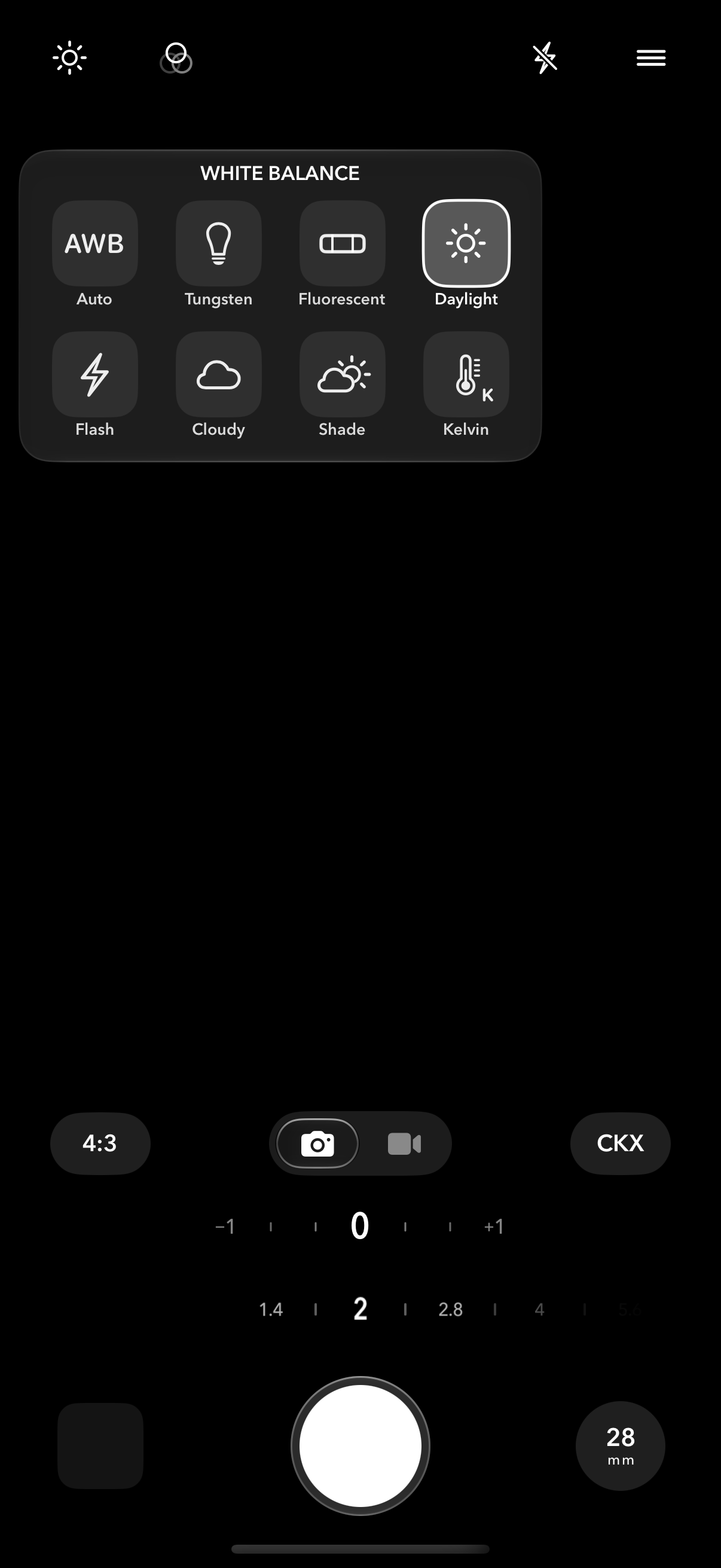 The white balance panel